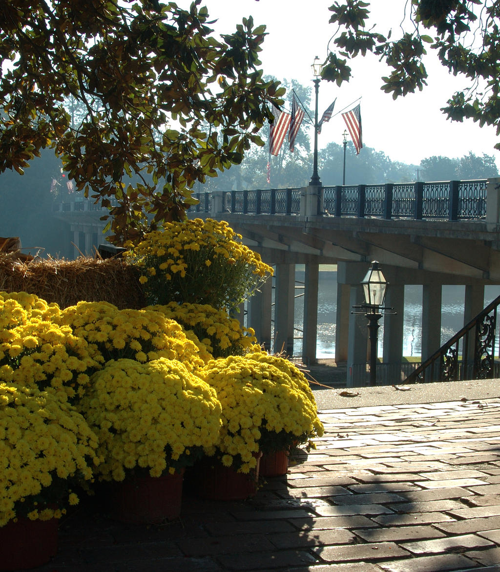 Cane River