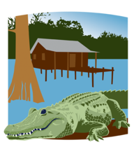 Southern Swamps