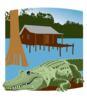 Southern Swamps