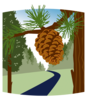 Longleaf Trail